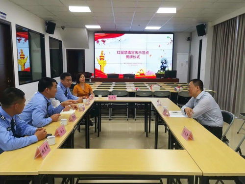 為民辦實事 同安區司法局教育整頓出實效，成果轉化惠民生